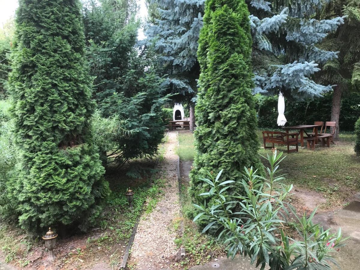 Bed and Breakfast Platanus Vendeghaz Zamárdi Zewnętrze zdjęcie